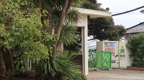 20221217123005_IMG_7413