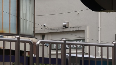 20221126124839_IMG_7065