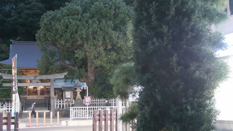 20221127164848_IMG_7136