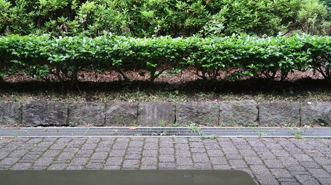 20220611181020_IMG_4631