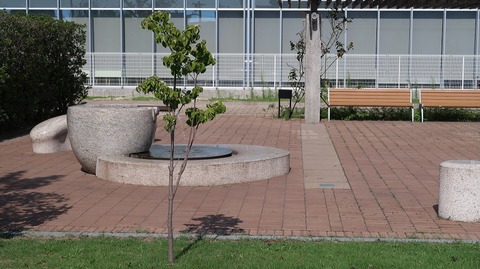 20190915092421_IMG_3704