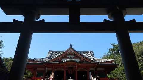 20230811150035_IMG_8980