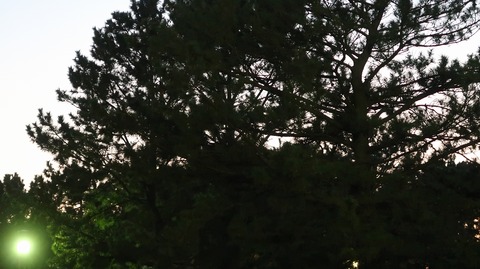 20210206180019_IMG_0294