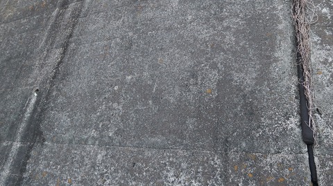 20220410173155_IMG_3431