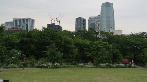 20220508173927_IMG_4184