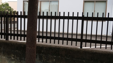 20210501174135_IMG_1264