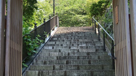 20190525121115_IMG_2388