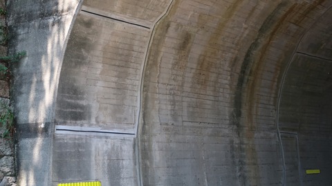 20220701135158_IMG_4713