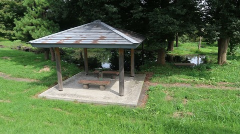 20200920112148_IMG_7946