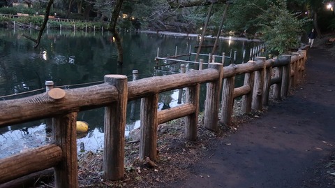 20191102170738_IMG_4753