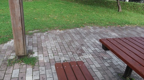 20200921170231_IMG_8212