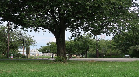 20220807153107_IMG_5429