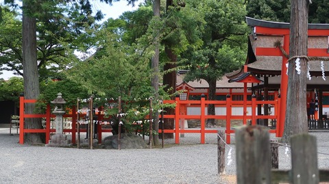 20220813095532_IMG_5808