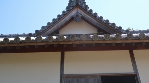 20220701143243_IMG_4755