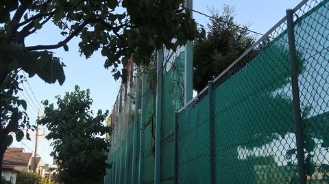 20230811175639_IMG_9082