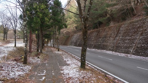 20211219142436_IMG_2508