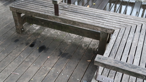 20181223152108_IMG_0035