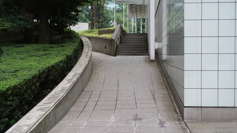 20190720155446_IMG_3060