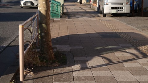 20210206160642_IMG_0254