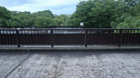 20200726185511_IMG_6830