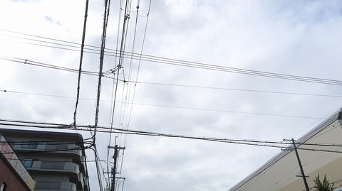 20220813082358_IMG_5749