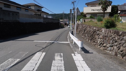 20231007114603_IMG_9621