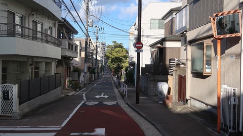 20230811171906_IMG_9075