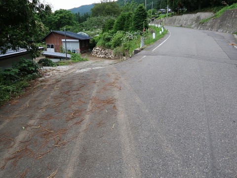 20190713153431_IMG_2867