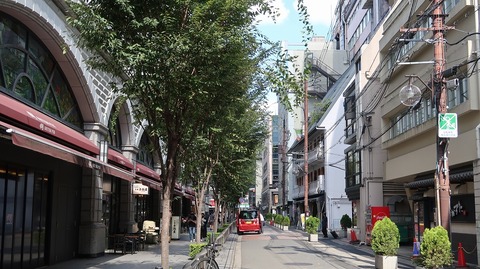 20220811153532_IMG_5558