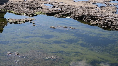 20190309133301_IMG_1164