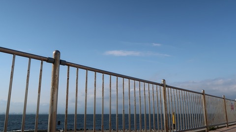 20210515182442_IMG_1523