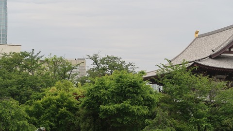 20220508180057_IMG_4211