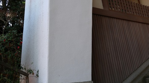 20190309115728_IMG_1144