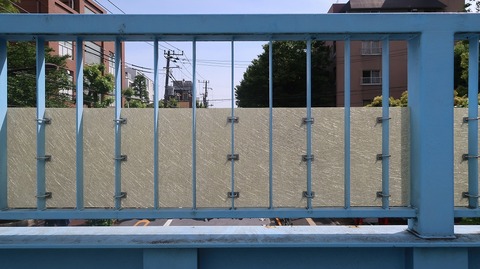 20230527143542_IMG_8346