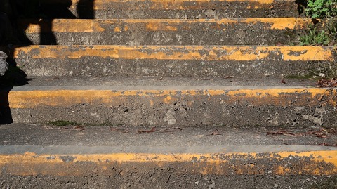 20201025141323_IMG_8709