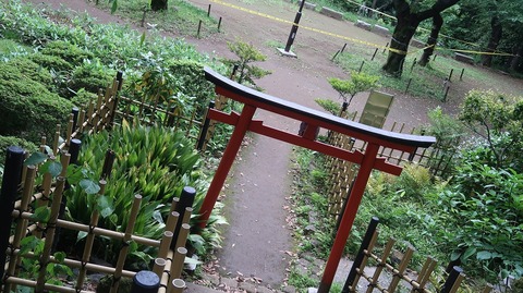 20220508171323_IMG_4162