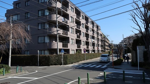 20190309095320_IMG_1131