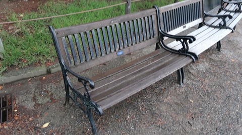 20190714181307_IMG_2972