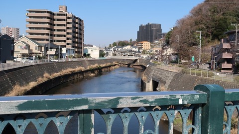 20190309093257_IMG_1129