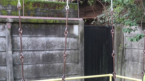 20221010163854_IMG_6594