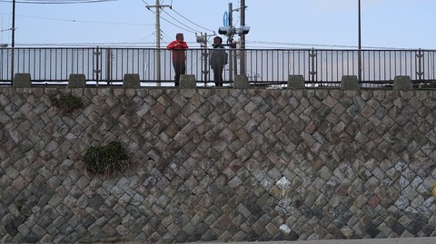 20190223162050_IMG_1078