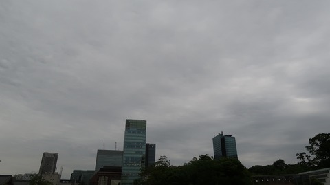 20220508174407_IMG_4189