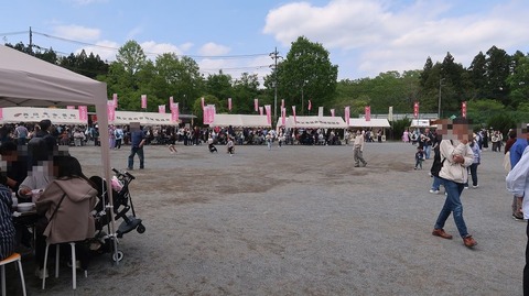 IMG_2410