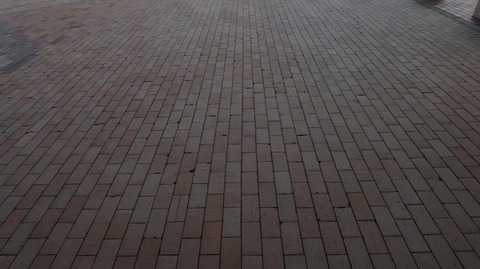 20190119213853_IMG_0660