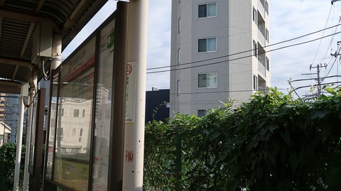 20191102094004_IMG_4659