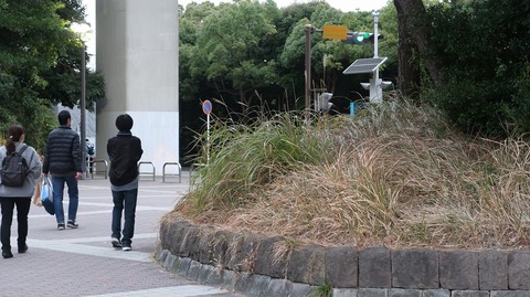 20211205164929_IMG_2403