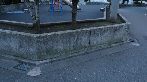 20220515190805_IMG_4311