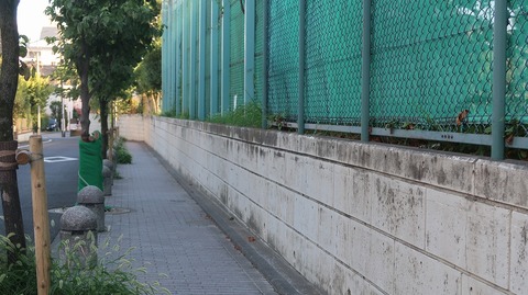 20230811175320_IMG_9078