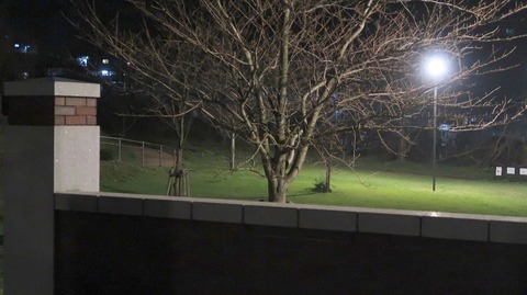 20200222220557_IMG_5966
