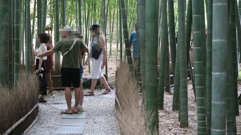 ScreenShot Tool -20250911221935_result_